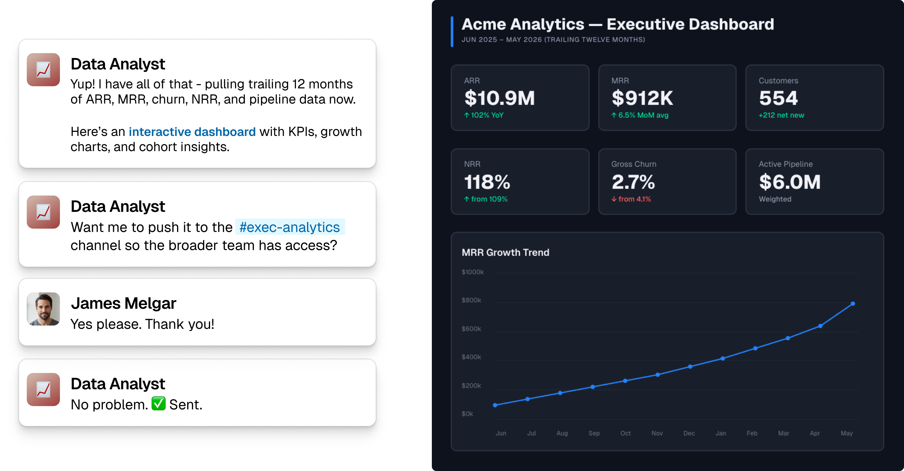 Data Analyst storyboard preview